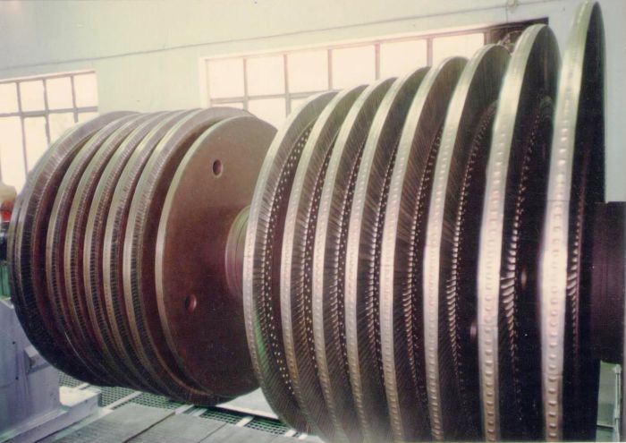 Turbine, Rotor and Alternator